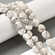 Natural Howlite Beads Strands&nbsp;G-B078-D15-01-2