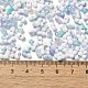 Two Tone Baking Paint Glass Seed Beads&nbsp;SEED-F005-01A-09-4