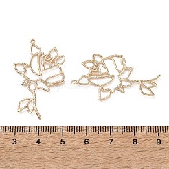 Brass Pendants&nbsp;KK-L266-01E-G