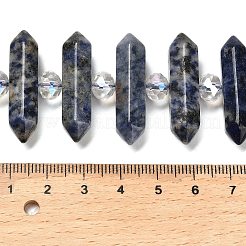 Natural Blue Spot Jasper Double Terminated Point Beads Strands&nbsp;G-H069-B10-01