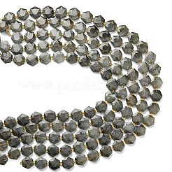 Natural Gray Labradorite Beads Strands&nbsp;G-L660-A02-01