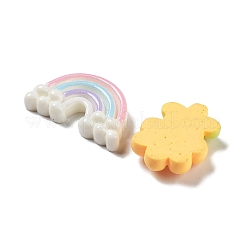 オペーク樹脂カボション  花と虹とケーキ  混合図形  ミックスカラー  15.5~23x7~26.5x5~6.5mm&nbsp;RESI-G084-04