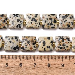 Natural Dalmatian Jasper Beads Strands&nbsp;G-F839-A19-01