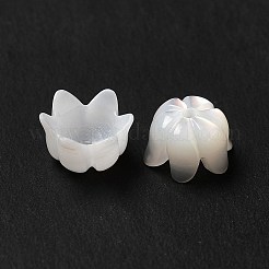 Natural Freshwater Shell Bead Caps&nbsp;BSHE-E026-12