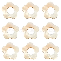 30Pcs Natural Freshwater Shell Beads Frames&nbsp;SHEL-CJ0001-27