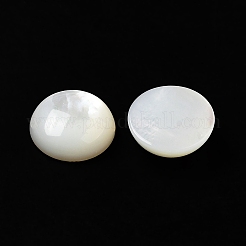 Natural White Shell Cabochons&nbsp;X-SSHEL-M022-01C