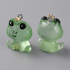 Luminous Transparent Resin Pendants&nbsp;LS-RESI-SZC0004-17F