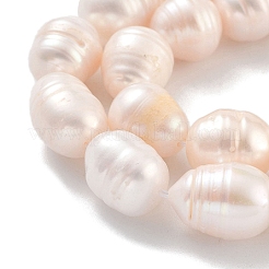 Natural Cultured Freshwater Pearl Beads Strands&nbsp;PEAR-P062-11B
