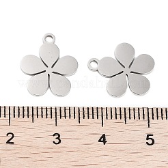 Non-Tarnish 316 Stainless Steel Charms&nbsp;X-STAS-C096-10C-P