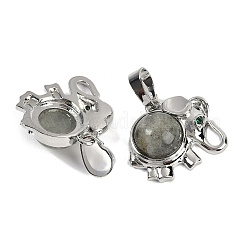 Natural Labradorite Pendants&nbsp;G-I374-A-P13