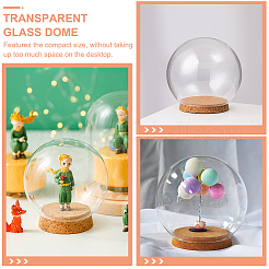 6 Sets Glass Dome Cover&nbsp;DJEW-BC0001-10