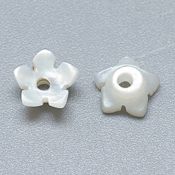 Natural White Shell Beads&nbsp;SSHEL-S260-014