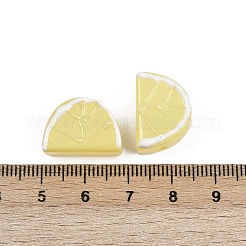 Baking Paint Glass Enamel Beads&nbsp;LAMP-C021-02B