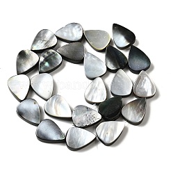 天然ブラックリップシェルビーズ連売り  ティアドロップ  17~17.5x13~13.5x4~4.5mm  穴：1.2mm  約23個/連  15.63''（39.7cm）〜15.71''（39.9cm）&nbsp;BSHE-D300-04C