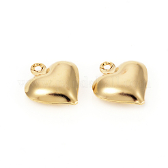 304 Stainless Steel Charms&nbsp;STAS-I149-02G