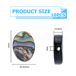 天然パウア貝ビーズ10個  オーバル  14x10~10.5x3~3.5mm  穴：0.5mm&nbsp;SSHEL-FI0001-04