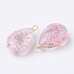 ガラスチャーム  中にドライフラワーあり＆真鍮パーツ  ティアドロップ  ゴールドカラー  ピンク  22~24x13x8mm  穴：2mm&nbsp;X-GLAA-Q070-005E