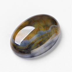 Natural Dragon Veins Cabochons&nbsp;G-F296-05-18x25mm