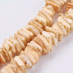 天然石シーシェルビーズ連売り  染め  四角い石ビーズ  ミックスカラー  1~3.5x4.5~10x4.5~10mm  穴：0.5mm  16.1インチ〜16.9インチ&nbsp;BSHE-K012-08