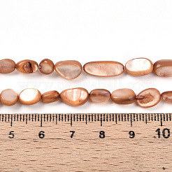 天然ホワイトシェルビーズ連売り  染め  ナゲット  ペルー  5~17x4~17x2~7mm  穴：0.6mm  約41~54個/連  14.57~16.14インチ（37~41cm）&nbsp;SHEL-N036-21E