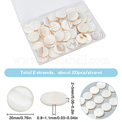 2連天然淡水貝ビーズ  フラットラウンド  20x2~5mm  穴：0.8~1.1mm  20個/連  16インチ/連&nbsp;BSHE-SC0001-20B
