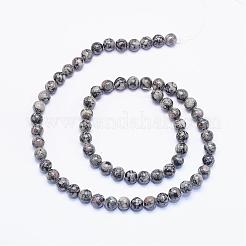 Natural Petrified Wood Bead Strands&nbsp;G-F425-44