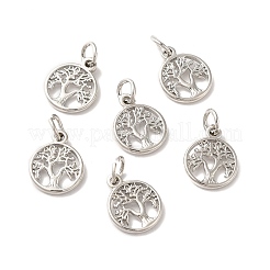 Brass Charms&nbsp;KK-Q403-01P