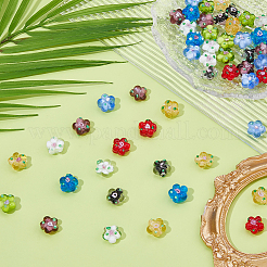 38Pcs Handmade Lampwork Beads&nbsp;LAMP-HS0001-23