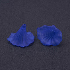 Transparent Acrylic Beads&nbsp;X-BSF796-C05