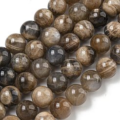 天然石ブラックムーンストーンビーズ連売り  ラウンド  10mm  穴：1.2mm  約40個/連  15.16''（38.5センチメートル）&nbsp;G-Q183-A01-02