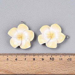 Opaque Resin Pendants&nbsp;RESI-T059-05F