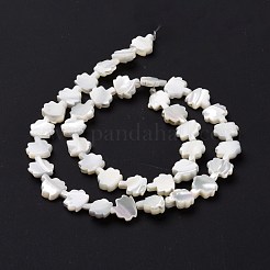 Natural Trochid Shell Beads Strands&nbsp;SSHEL-G023-09B