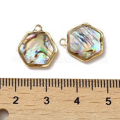天然パウアシェル樹脂六角チャーム  真鍮パーツ  ゴールドカラー  14.5x13.5x3.5mm  穴：1.5mm&nbsp;KK-F865-22G