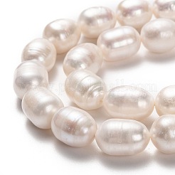 天然養殖淡水パールビーズ連売り  ライス  ビスク  11~14x10~11mm  穴：0.8mm  約28個/連  13.78インチ（35cm）&nbsp;PEAR-L033-88-01