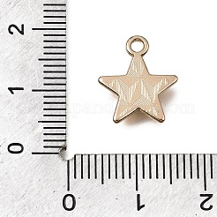 Alloy with Enamel Charms&nbsp;AL-CBA2F44-03G-04