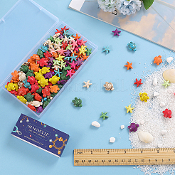 160Pcs 2 Styles Synthetical Turquoise Beads&nbsp;G-SC0002-39