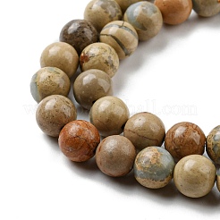 Natural Aqua Terra Jasper Strands&nbsp;G-S150-50-10mm