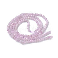 Natural Kunzite/Spodumene Beads Strands&nbsp;G-L651-C12-2mm-01