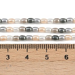 電気めっきシェルパールビーズ連売り  ライス  ミックスカラー  3x2.5mm  穴：0.8mm  約119個/連  15.94''（40.5センチメートル）&nbsp;BSHE-H113-06A-03