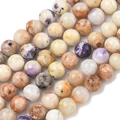 Natural Purple Opal Beads Strands&nbsp;G-L642-B21-8mm