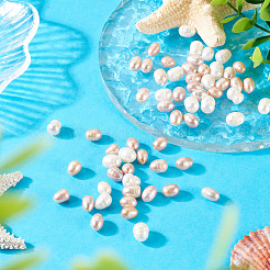 60Pcs 3 Styles Natural Cultured Freshwater Pearl Beads Strands&nbsp;PEAR-TA0001-22