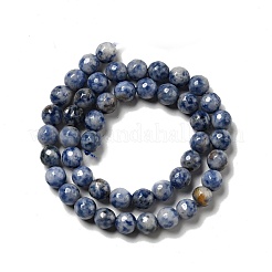 Natural Blue Spot Jasper Beads Strands&nbsp;G-P476-01C-02