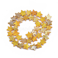 Freshwater Shell Beads Strands&nbsp;SHEL-S276-31