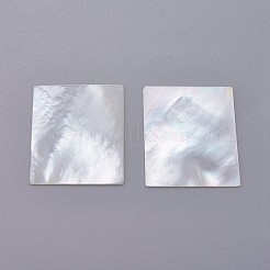 Natural White Shell Mother of Pearl Shell Cabochons&nbsp;SHEL-P076-05A