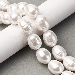 Electroplated Shell Pearl Beads Strands&nbsp;BSHE-H110-01-03