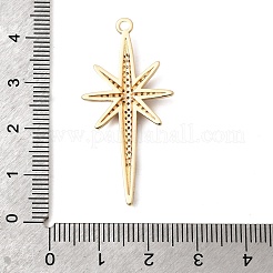 真鍮舗装クリアキュービックジルコニアペンダント  スターのチャーム  14KGP本金メッキ  40.5x19.5x3mm  穴：1.8mm&nbsp;ZIRC-L106-04G-01