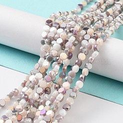 Electroplate Glass Beads&nbsp;X-EGLA-P056-01E