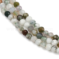 Natural Moss Agate Beads Strands&nbsp;G-RM2025-A33-2mm