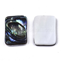 Natural Abalone Shell/Paua Shell Cabochons&nbsp;SSHEL-N034-76B-01
