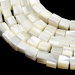 Natural Trochid Shell/Trochus Shell Beads Strands&nbsp;SHEL-C010-05A